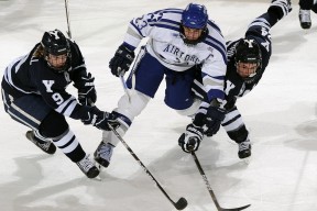 开云体育世界杯-巴斯托尼的维也纳华尔兹，当链式防守在都灵奏响蓝色狂想曲