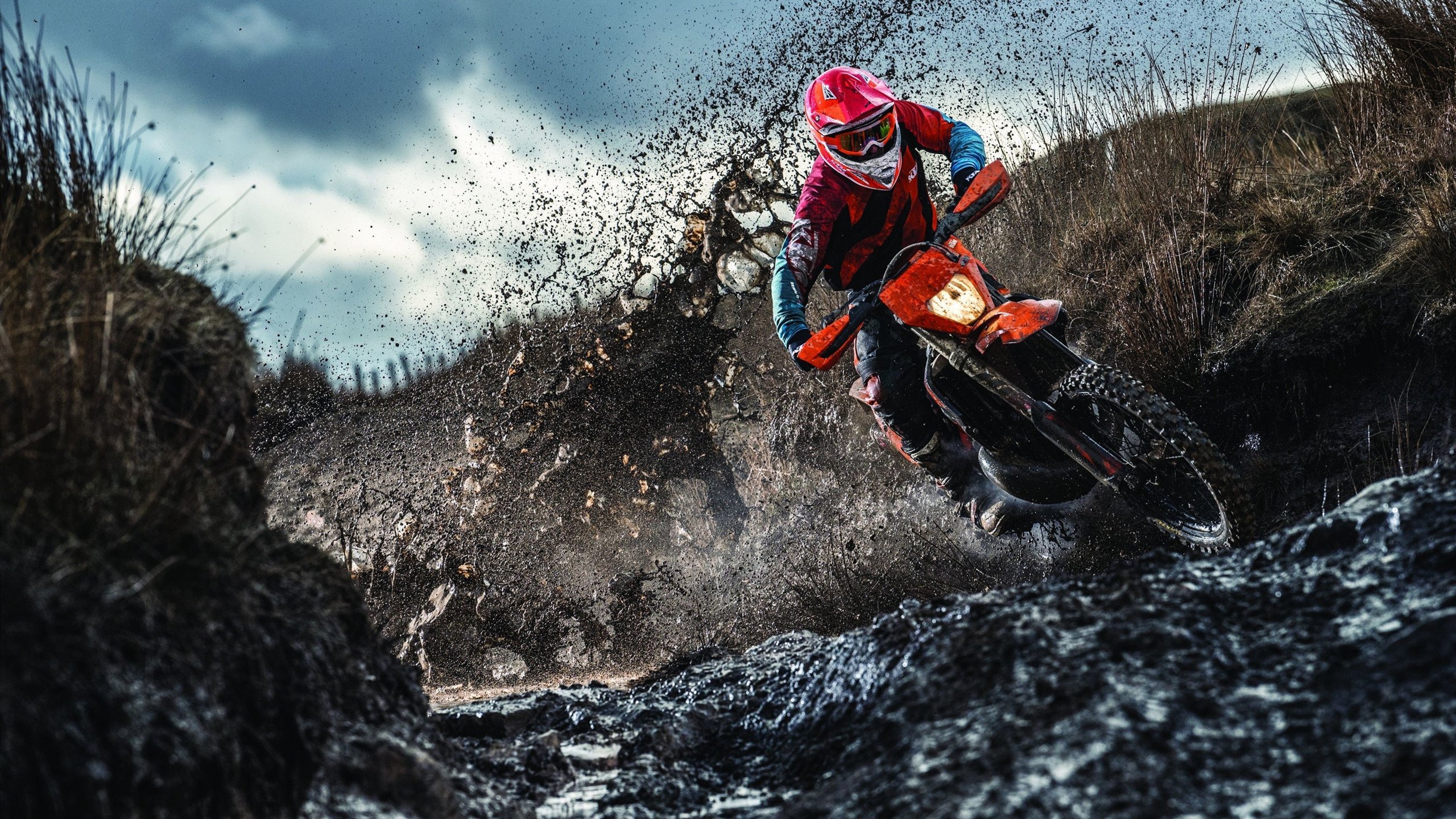 文班亚马在焦点战证明自己，尼克斯争冠战胜出独行侠